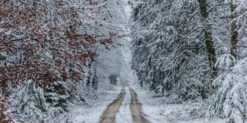 Mbërrin dimri, paralajmëron meteorologu Hakil Osmani: Ja kur stuhia polare do të prekë Shqipërinë