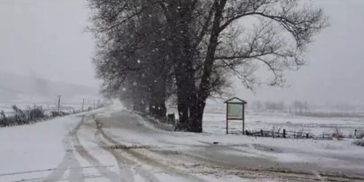 Acari ‘pushton’ vendin, zbardhet edhe Elbasani, ja si paraqitet situata