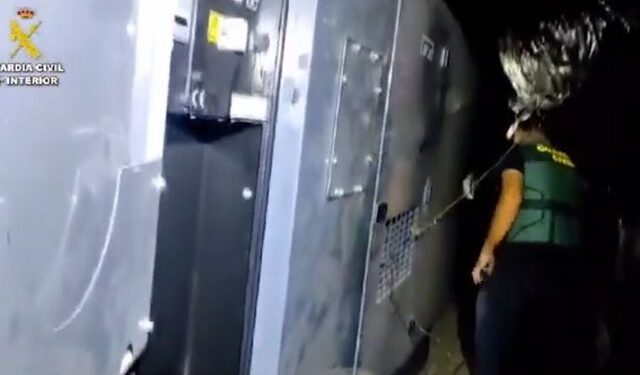 Zbulohet super-ferma me marijunë në Spanjë, arrestohet 26-vjeçari shqiptar