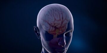 Ja çfarë i ndodh truri pas ndërprerjes së alkolit