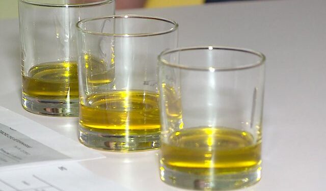 “Emigron” vaji i ullirit, rritet çmimi, shkak prodhimi i ulët
