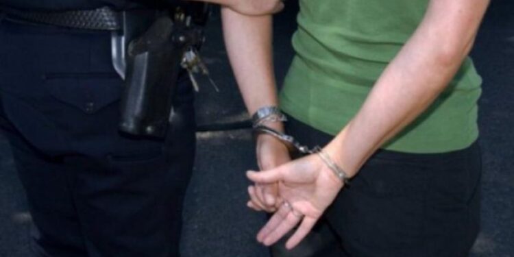 E dehur në timon, arrestohet aktorja e njohur e humorit