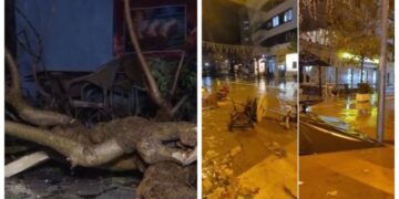 Shirat e dendur dhe era e fortë thyen pemët në Librazhd, raportohen dëme në disa biznese
