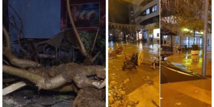 Shirat e dendur dhe era e fortë thyen pemët në Librazhd, raportohen dëme në disa biznese