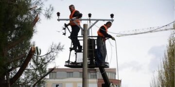 La Amerikën për të investuar në Shqipëri, fermerit i ndodh e papritura