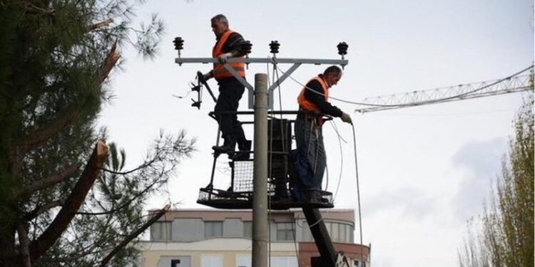 La Amerikën për të investuar në Shqipëri, fermerit i ndodh e papritura