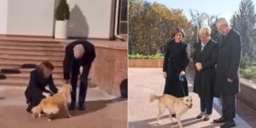Presidenti austriak kafshohet nga qeni i homologes moldave