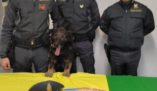 Me 2 kg kokainë në “Jeep Renegade”, arrestohet shqiptari në Itali