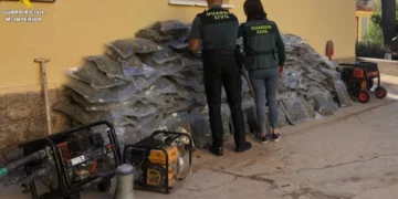 Çmontohet grupi i kultivimit të marijuanës në Spanjë, arrestohen 8 shqiptarë, sekuestrohen rreth 500 kg drogë