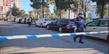 Plagosja e 40-vjeçarit në Shkodër, zbardhen detaje