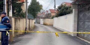 Dje festoi ditëlindjen, sot vrau vëllanë dhe veten, çfarë dihet nga krimi që tronditi Tiranën
