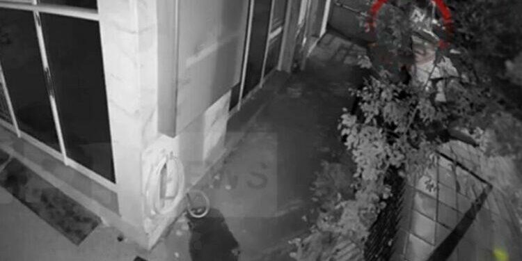 E mohuan se kishtin gisht në vrasjen e 41-vjeçares shtatzënë, publikohen pamjet ku autorët fusin trupin e masakruar të shqiptares në bagazh