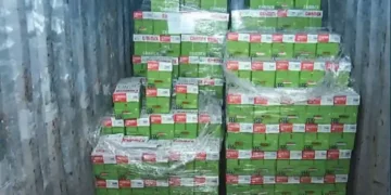 Kapet konteineri me kokainë në Portin e Hamburgut, 11 të arrestuar bashkë me kreun shqiptar të grupit