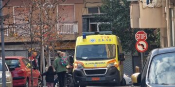 Qeni sulmon foshnjën, e kafshon në fytyrë