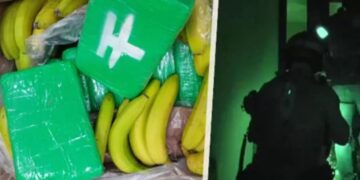 Trafikimi i kokainës me arka banane nga Amerika Latine drejt vendeve të BE-së, bien në pranga tre shtetas, mes tyre një shqiptar