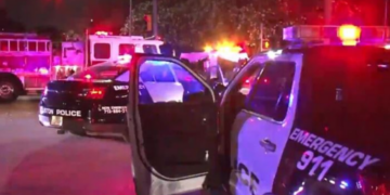 E rëndë, nëna mbyt vajzën 4-vjeçare