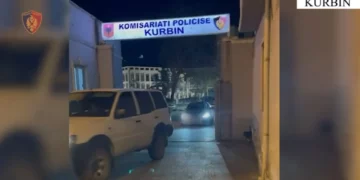 Armë zjarri, dylbi për snajper, bizhuteri dhe targa franceze! Arrestohet 25-vjeçari në Kurbin, në kërkim babai