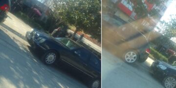 E rëndë në Peqin, punëtori i Bashkisë humb jetën, bie nga lartësia teksa po krasiste disa pemë