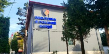 Ngjarje e rëndë në Korçë, nënë e bijë gjenden të vdekura në banesë