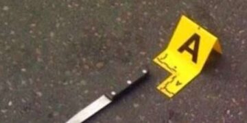 Sulm me thikë në një shkollë, plagosen dy fëmijë