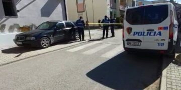 Plagosja në Mamurras, ja vendimi i Gjykatës së Lezhës për 21-vjeçarin Endri Baçuku