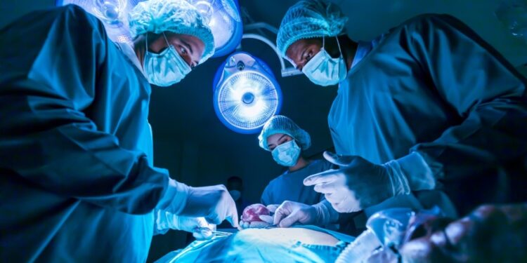 Për herë të parë, transplantohet veshka e derrit të modifikuar gjenetikisht te pacienti