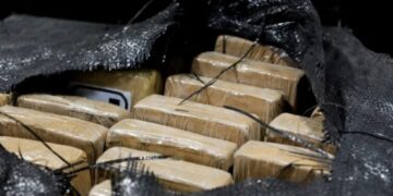 Vinin nga Ekuadori, gjenden 170 kilogram kokainë në Belgjikë. Ishin fshehur në