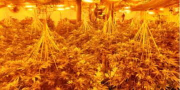 U kapën në çatinë e “shtëpisë së barit”, e pësojnë keq dy të rinjtë shqiptarë në Britani