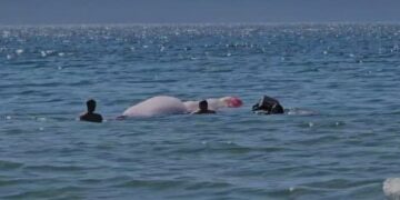 “U frikësova dhe humba kontrollin”, parashutisti në Vlorë përfundon në det