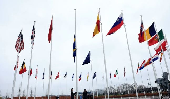 Argjentina kërkon t’i bashkohet me NATO-s, a do të bëhet Britania pengesë?