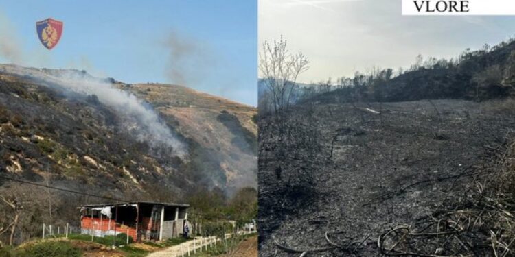 Ndezi zjarr për djegien e mbeturinave, por u dogjën disa bagëti dhe një sipërfaqe toke. Procedohet autori