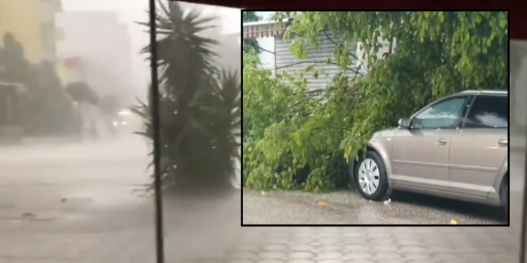 “Çmendet” moti, stuhi e pazakontë në Lushnje, era e fortë rrëzon pemët dhe tabelat rrugore