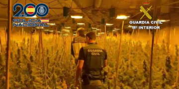 Iu gjetën një plantacion të prodhimit të lëndëve narkotike, bien në prangat e autoriteteve spanjolle dy shqiptarë