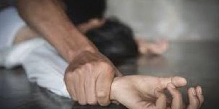 ‘Tronditëse’, u thirr në pyll nga i dashuri, 14-vjeçarja përdhunohet nga 11 persona