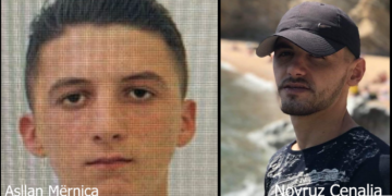 Vrau efektivin Novruz Cenalia, Asllan Mernica me rrezikshmëri të lartë, krimet e familjarëve