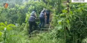 Kthyen një banesë të pabanuar në “shtëpi bari”, shpallen në kërkim dy persona në Tepelenë