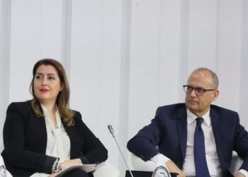 BIRN: Akuzat për plagjiaturë në zgjedhjet universitare bien në vesh të shurdhër