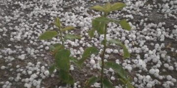 “Çmendet” moti , gjysma e Shqipërisë “përvëlohet” nga dielli, breshëri bën ‘kërdinë’ në juglindje