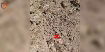 Aksion për kontrollin e mbetjeve shtazore në disa qarqe, e pësojnë keq administratorët e 4 subjekteve