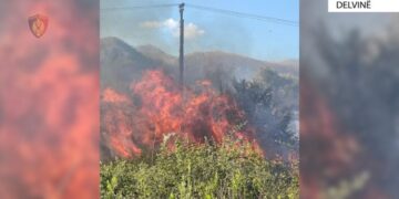 Shkaktuan zjarre të qëllimshme, e pësojnë keq autorët