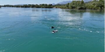 Tronditet sërish Shkodra, një grua hidhet nga Ura e Bunës, zbardhen dyshimet e para