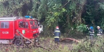 Përkeqësohet moti në Elbasan, shirat e rrëmbyeshëm shkulin pemët dhe dëmtojnë disa biznese