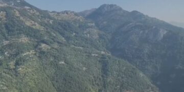 Operacion anti-droge në Shkodër, asgjesohen mbi 10 mijë kanabisi