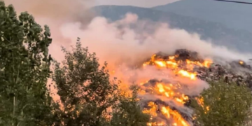 Zjarri djeg ullinjtë shekullorë në Vlorë, rrezikohen edhe disa banesa