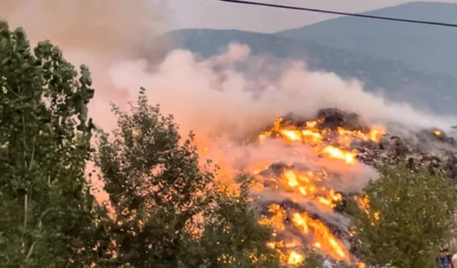 Zjarri djeg ullinjtë shekullorë në Vlorë, rrezikohen edhe disa banesa