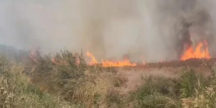Zjarr në Vreshtas të Maliqit, zjarrfikësja drejt vendit të ngjarjes