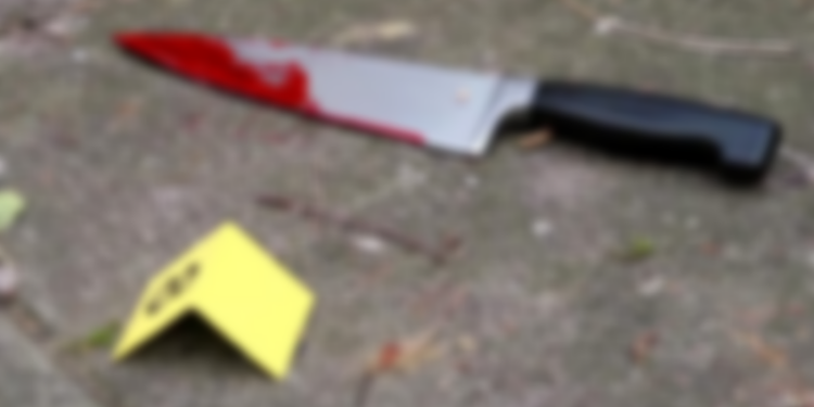 Masakrohet me thikë një person, bien në prangat e policisë babë e bir si dy autorët e dyshuar