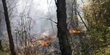 Riaktivizohet zjarri në lagjen Bojë në Krujë, zjarrfikësit në vendngjarje