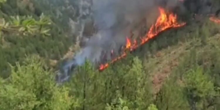 Përfshihet nga flakët Parku Kombëtar në malin e Tomorrit, bëhet e pamundur ndërhyrja e zjarrëfikseve