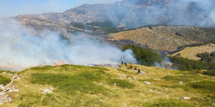 Zjarri në Parkun Kombëtar të Prespës del jashtë kontrollit, kërkohet ndërhyrje e menjëhershme